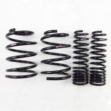RS-R Down Lowering Springs - Mitsubishi Lancer Evolution X (CZ4A)