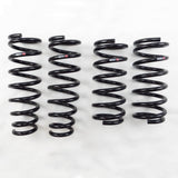RS-R Down Lowering Springs - Mazda6 Wagon (GH)