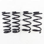 RS-R Down Lowering Springs - Nissan 370Z (Z34) - RS-R Thumbnail