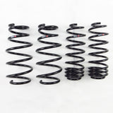 RS-R Lowering Springs - Honda Jazz (GE) - Down / Super Down