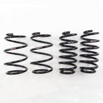 RS-R Down Lowering Springs - Lexus CT200h (ZWA10) - RS-R Thumbnail