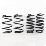 RS-R Down Lowering Springs - Lexus CT200h (ZWA10)