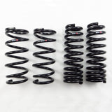 RS-R Down Lowering Springs - Lexus GS450h (GWL10)