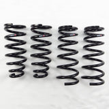 RS-R Down Lowering Springs - Lexus GS300 / GS430 (JZS160/UZS161)