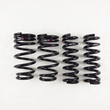 RS-R Down Lowering Springs - Lexus RC F (USC10) / GS F (URL10)