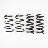 RS-R Down Lowering Springs - Ford Mustang GT (S550)
