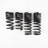 RS-R Ti2000 Down Lowering Springs - Nissan GT-R (R35)