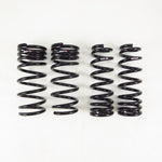 RS-R Lowering Springs - Lexus RC350 (GSC10) / RC200t / RC300 (ASC10) - Down / Super Down - Image 2 - RS-R Thumbnail