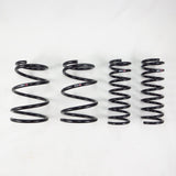 RS-R Down Lowering Springs - Subaru Outback 3.6R (BS)