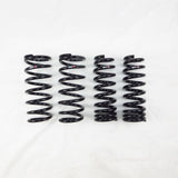 RS-R Down Lowering Springs - Lexus GS200t / GS300 (ARL10)
