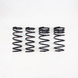 RS-R Ti2000 Down Lowering Springs - Lexus LC500 (URZ100)