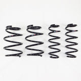 RS-R Lowering Springs - Toyota Corolla Hatch (E210) - Down / Super Down