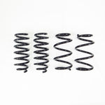 RS-R Ti2000 Down Lowering Springs - Tesla Model 3 RWD - RS-R Thumbnail