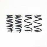 RS-R Ti2000 Down Lowering Springs - Tesla Model 3 RWD