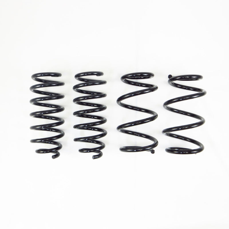 RS-R Ti2000 Down Lowering Springs - Tesla Model 3 RWD - RS-R