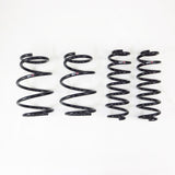 RS-R Down Lowering Springs - Toyota RAV4 (XA50) FWD