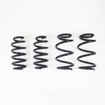RS-R Ti2000 Down Lowering Springs - Tesla Model 3 AWD - RS-R Thumbnail
