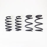 RS-R Ti2000 Down Lowering Springs - Tesla Model 3 AWD