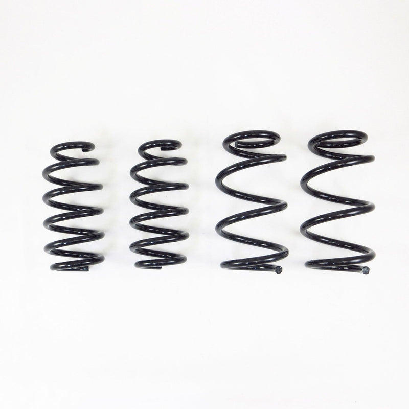 RS-R Ti2000 Down Lowering Springs - Tesla Model 3 AWD - RS-R